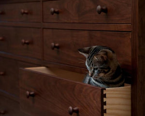 Craftsman 5 Drawer Tall Dresser in Walnut showing a grey cat in drawer, dresser handmade by Hardwood Artisans in the PWC area